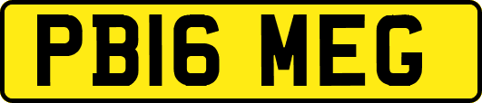 PB16MEG