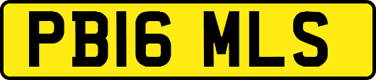 PB16MLS