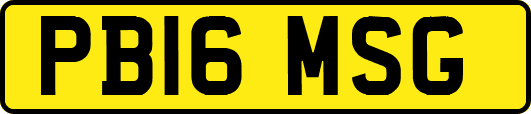 PB16MSG
