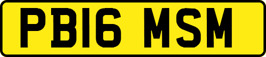 PB16MSM
