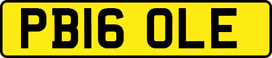 PB16OLE