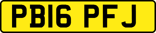 PB16PFJ