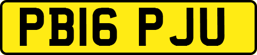 PB16PJU