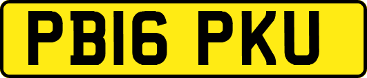 PB16PKU