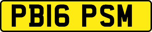 PB16PSM
