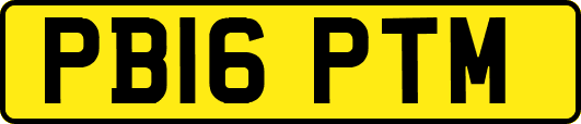 PB16PTM