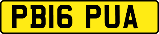 PB16PUA