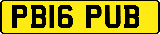 PB16PUB