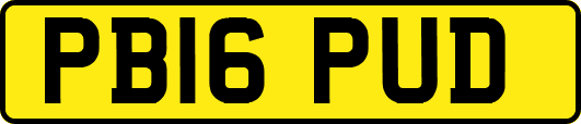 PB16PUD