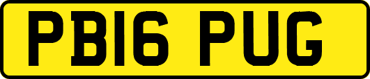 PB16PUG