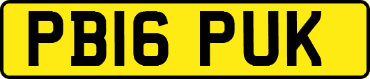 PB16PUK