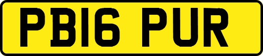 PB16PUR