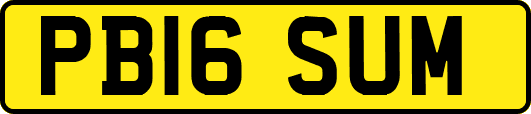PB16SUM
