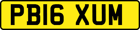 PB16XUM