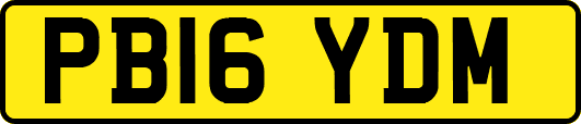 PB16YDM