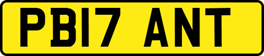 PB17ANT