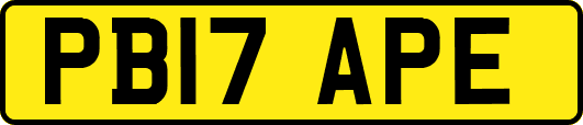 PB17APE