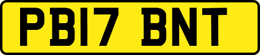 PB17BNT