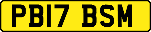 PB17BSM