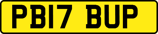 PB17BUP