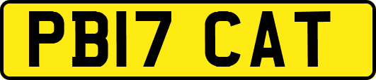 PB17CAT