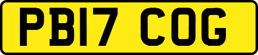 PB17COG