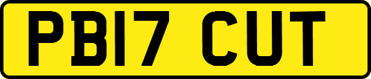 PB17CUT