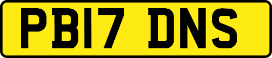 PB17DNS