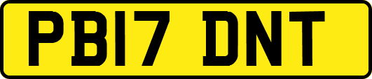 PB17DNT