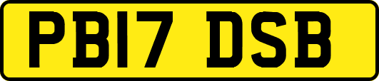 PB17DSB
