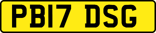PB17DSG