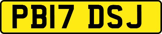 PB17DSJ