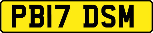 PB17DSM