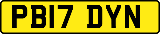 PB17DYN
