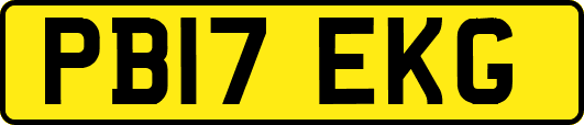 PB17EKG