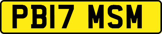 PB17MSM