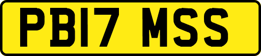 PB17MSS