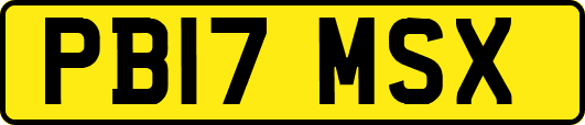 PB17MSX
