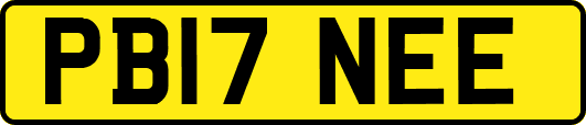 PB17NEE