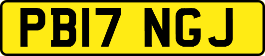 PB17NGJ