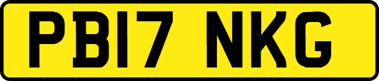 PB17NKG