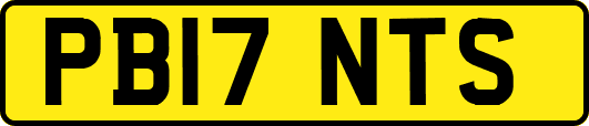PB17NTS