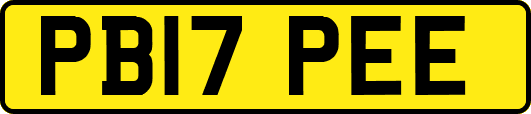 PB17PEE