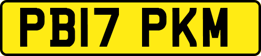 PB17PKM