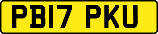 PB17PKU