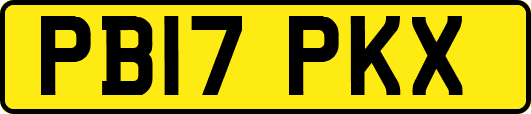 PB17PKX