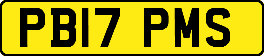PB17PMS