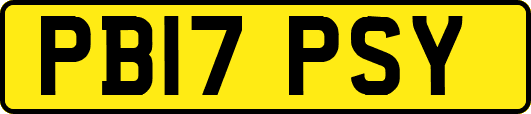 PB17PSY