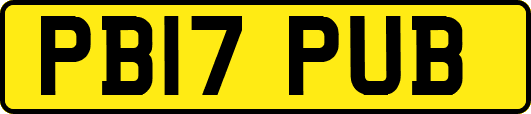 PB17PUB