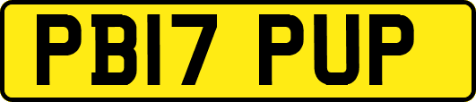 PB17PUP
